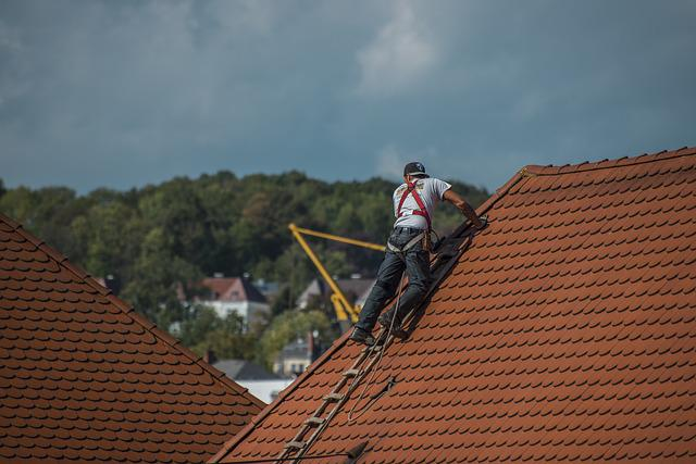 Lire la suite à propos de l’article Zoom sur la toiture de la maison